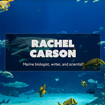 Rachel Carson Spark Link