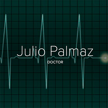 Julio Palmaz Spark Link