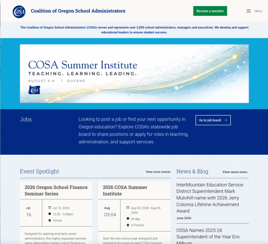 Screenshot of website