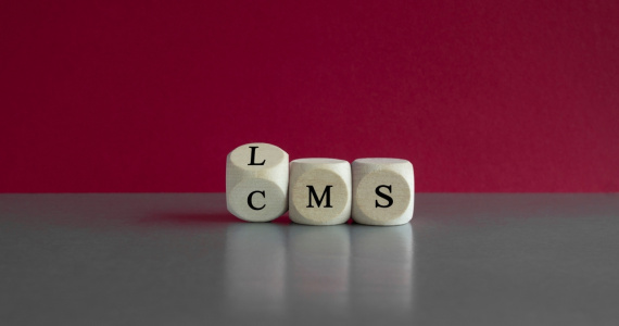 Wooden cubes with the abbreviations CMS (content management system) and LMS (learning management system). 