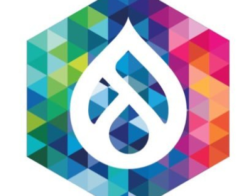 drupalcon icon multicolor