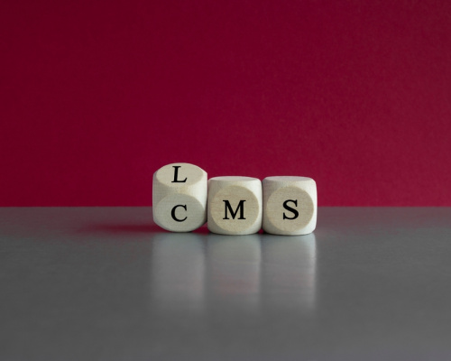 Wooden cubes with the abbreviations CMS (content management system) and LMS (learning management system). 